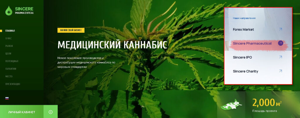 Sincere Systems_Каннабис