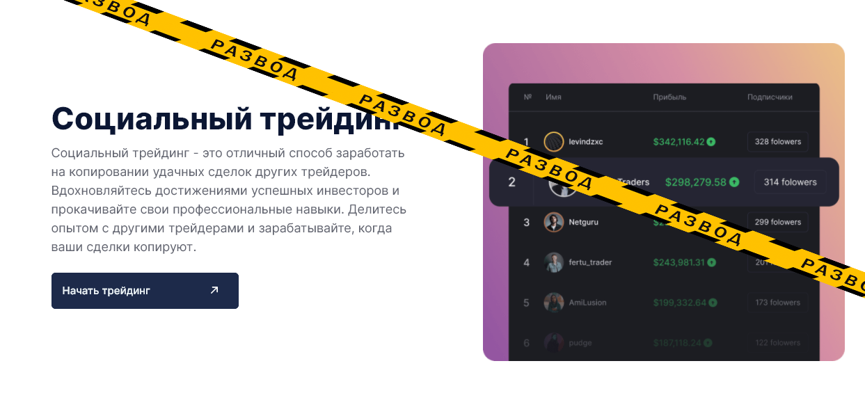 DotBig социальный трейдинг, развод