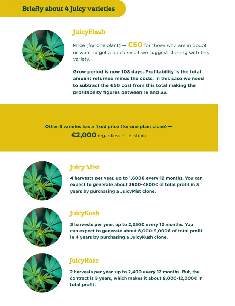 JuicyFields_Plans