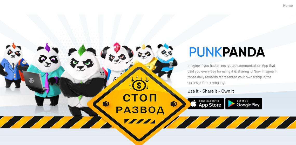 PunkPanda развод
