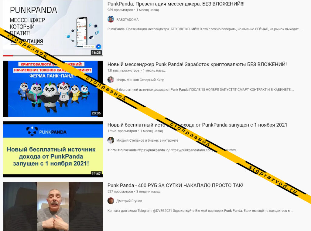 punkpanda обзор